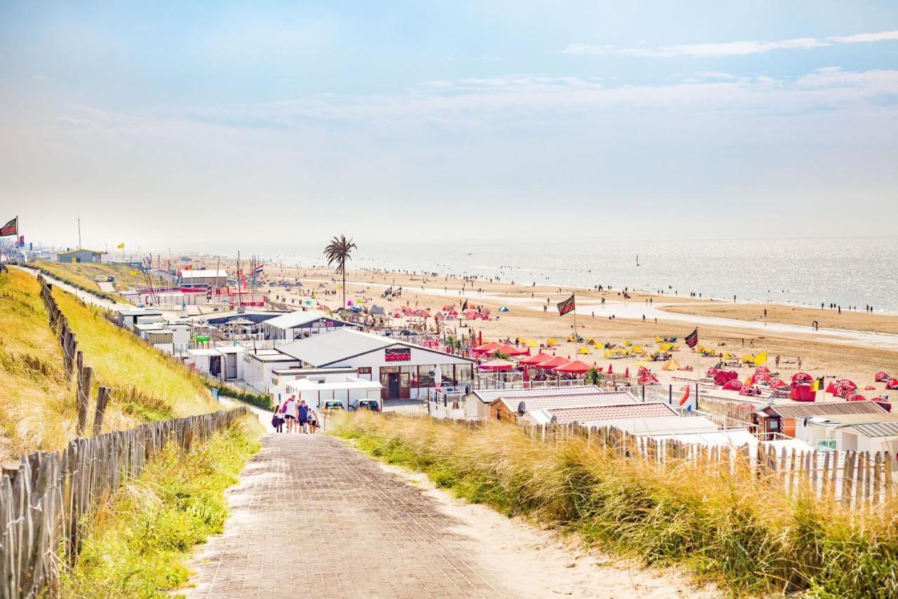 Amsterdam Dunes