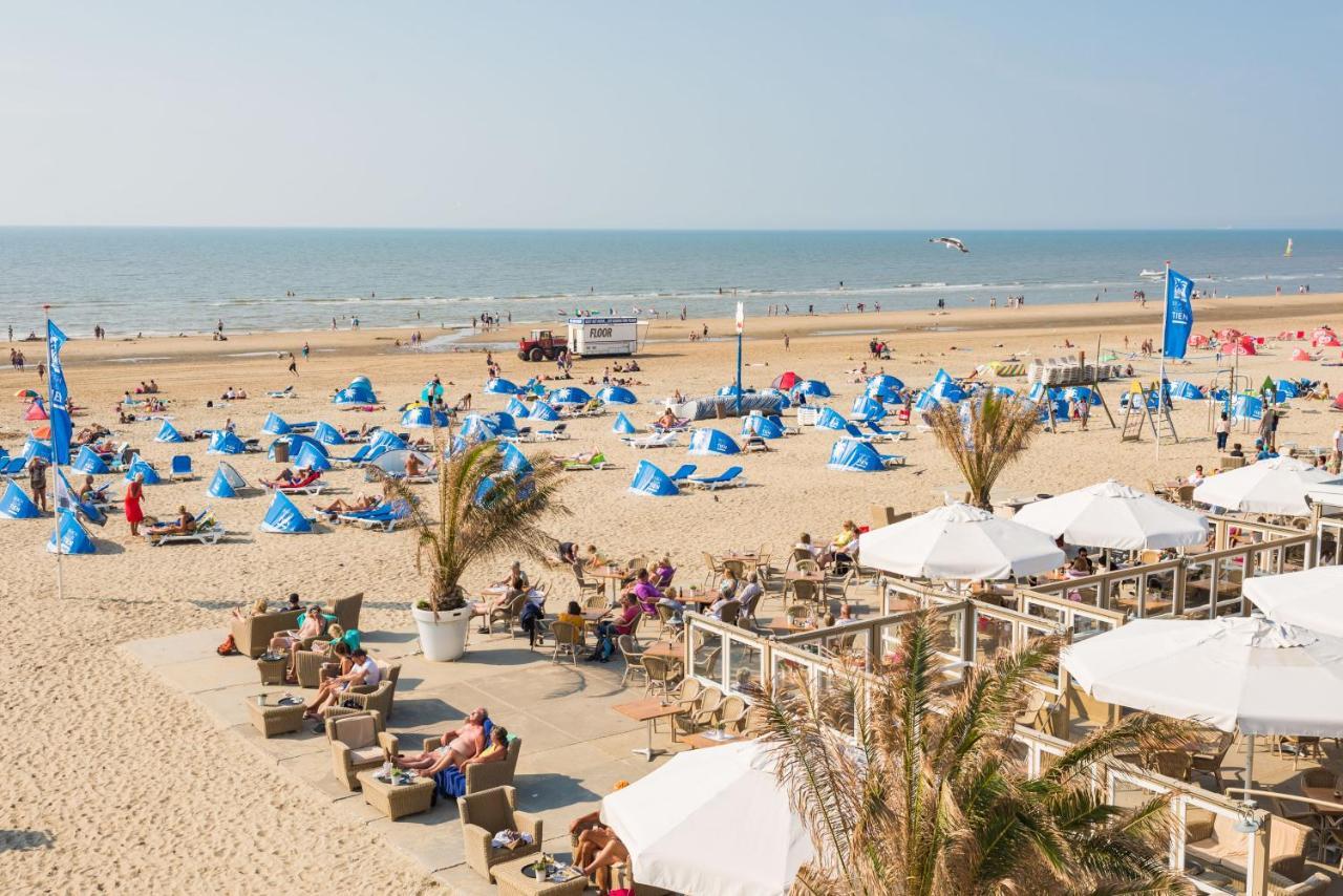 Amsterdam Dunes *